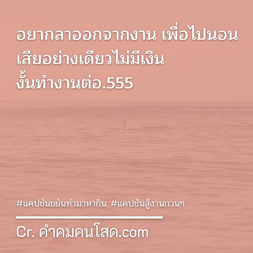 แคปชั่นงาน 34 แคปชั่นสู้งานกวนๆ งานล้นท่วมหัว เงินไม่ขยับ 💰💸